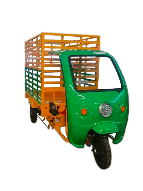 Eletric Tricycle for special use