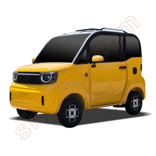 EEC Electric Car Passenger Mini Electric Vehicle