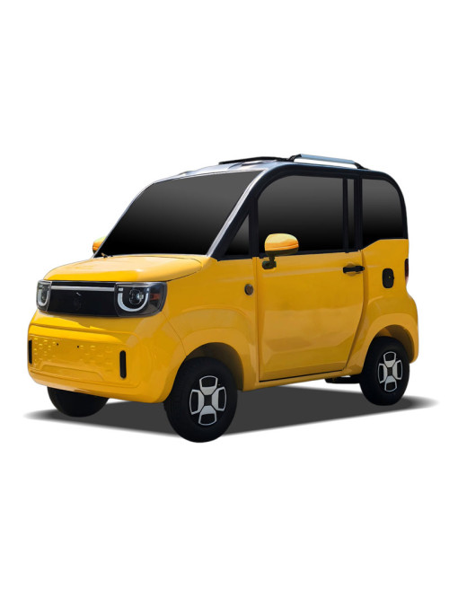 EEC Electric Car Passenger Mini Electric Vehicle