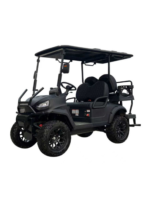Back-to-Back Passenger Electric Golf Cart