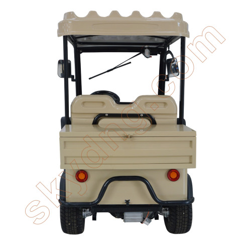 Electric 2 Seater Golf Cart with Rear Cargo Box