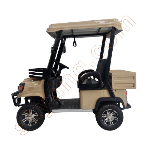 Electric 2 Seater Golf Cart with Rear Cargo Box