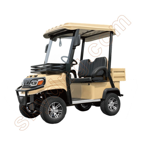 Electric 2 Seater Golf Cart with Rear Cargo Box