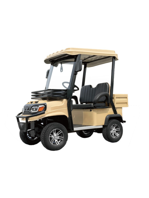 Electric 2 Seater Golf Cart with Rear Cargo Box