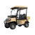 Electric 2 Seater Golf Cart with Rear Cargo Box
