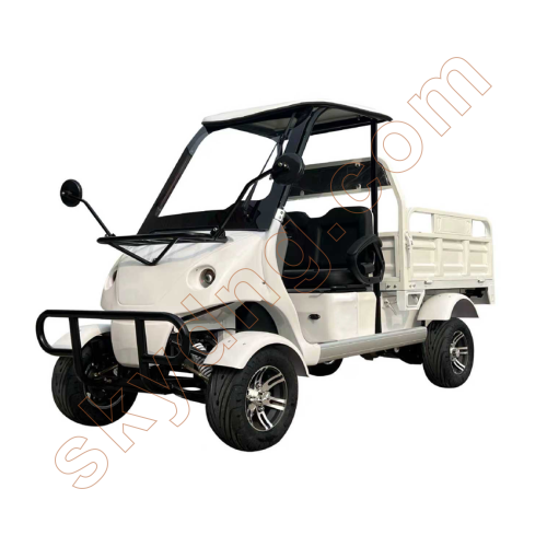 Electric Utility Golf Cart