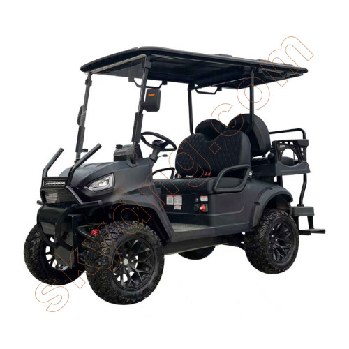Back-to-Back Passenger Electric Golf Cart