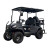 Back-to-Back Passenger Electric Golf Cart