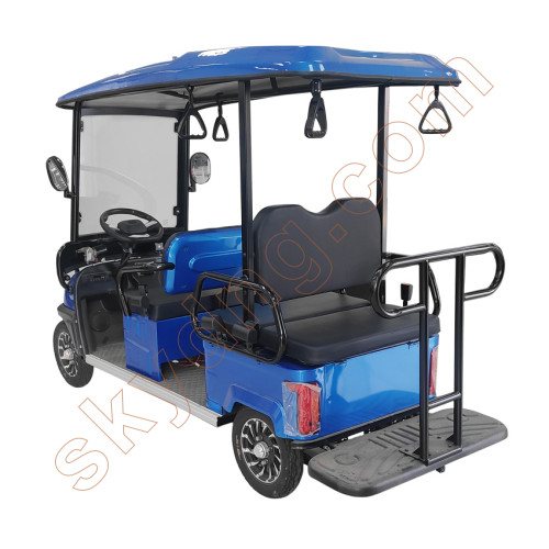 Back-to-Back Passenger Electric Golf Cart