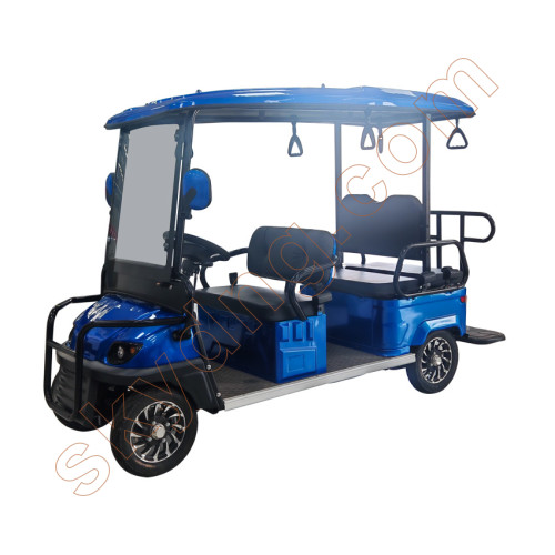 Back-to-Back Passenger Electric Golf Cart