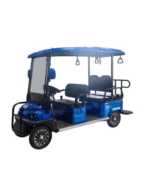 Back-to-Back Passenger Electric Golf Cart