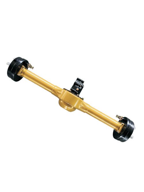 Integrated Rear Axle Differential for E Rickshaws