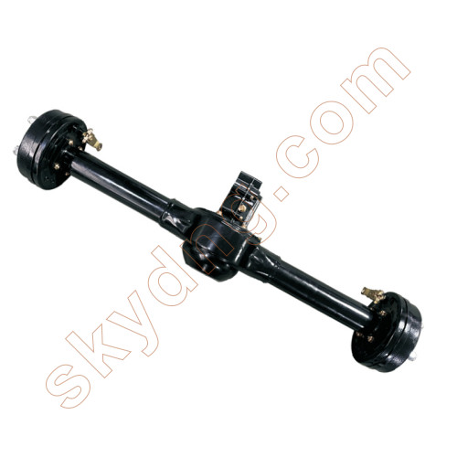 Integrated Rear Axle Differential for E Rickshaws