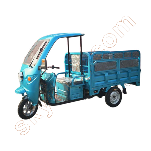 Passenger and Cargo Electric Tricycle