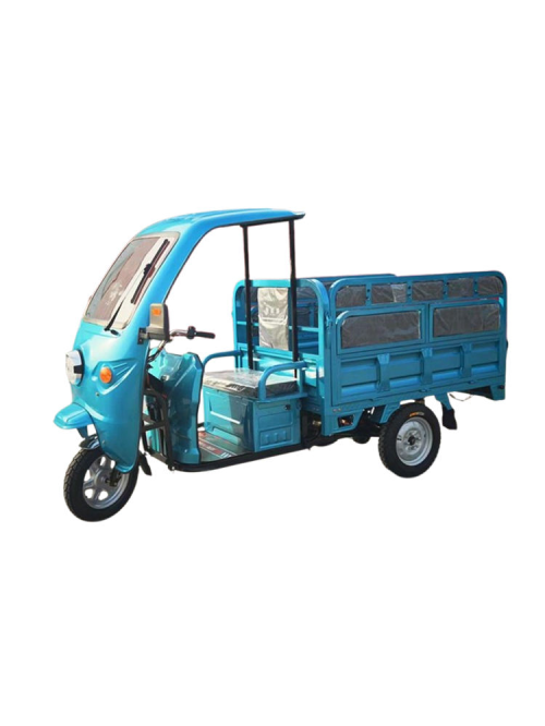 Passenger and Cargo Electric Tricycle