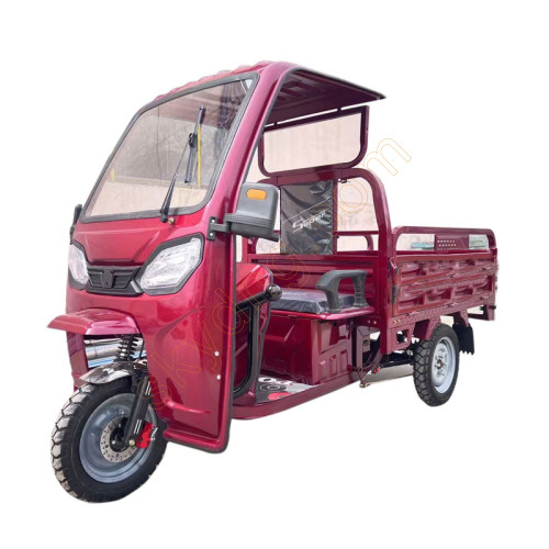 Electric Cargo Tricycle with canopy