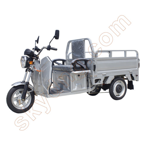 Small Electric Cargo Tricycle