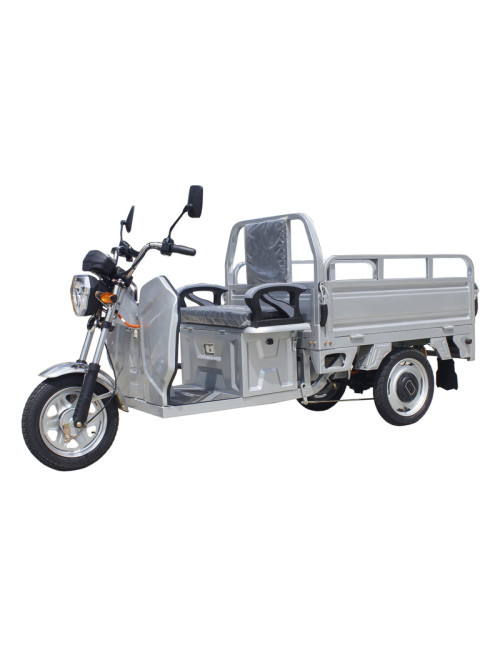 Small Electric Cargo Tricycle