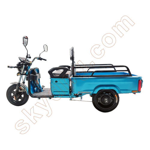 Electric Tricycle for Passengers and Small Cargo 
