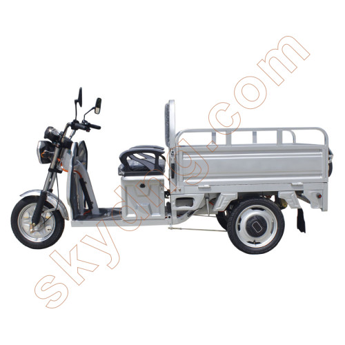 Small Electric Cargo Tricycle