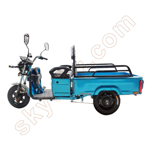 Electric Tricycle for Passengers and Small Cargo 