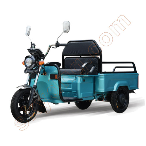 Electric Tricycle for Passengers and Small Cargo 
