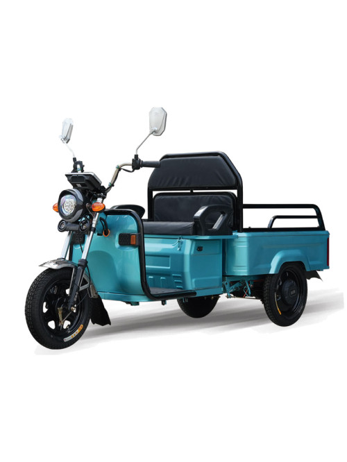 Electric Tricycle for Passengers and Small Cargo 