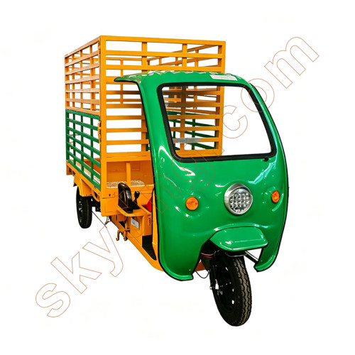 Eletric Tricycle for special use