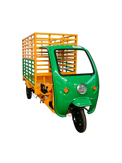 Eletric Tricycle for special use