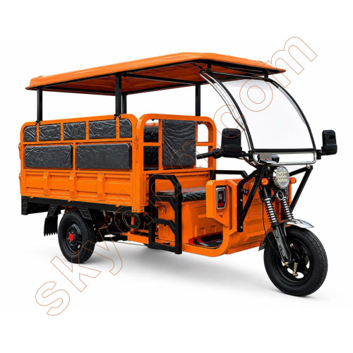 Passenger and Cargo Electric Tricycle