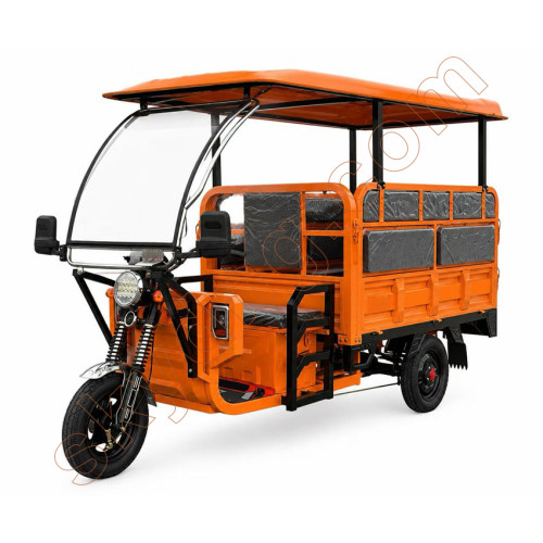 Passenger and Cargo Electric Tricycle