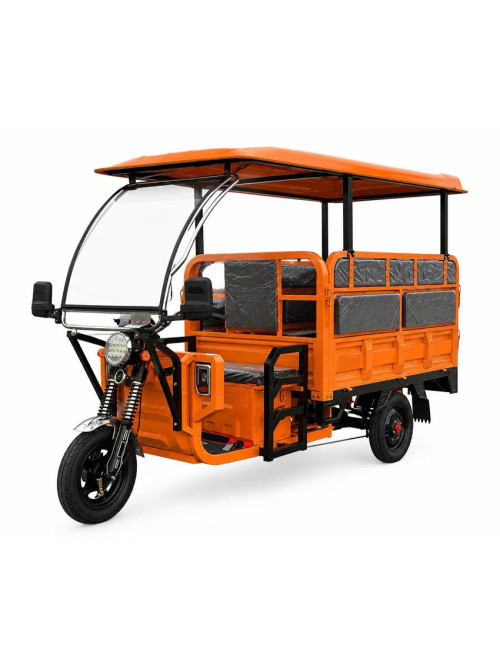 Passenger and Cargo Electric Tricycle