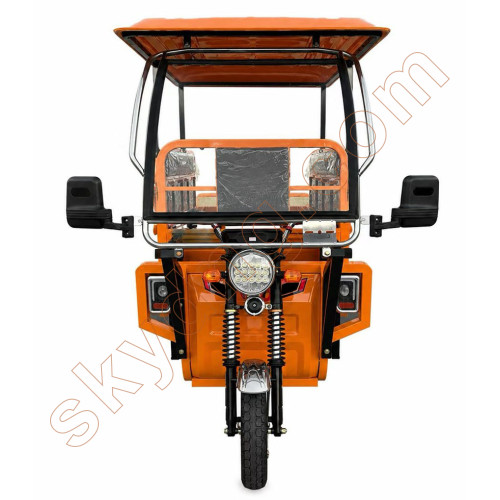 Passenger and Cargo Electric Tricycle