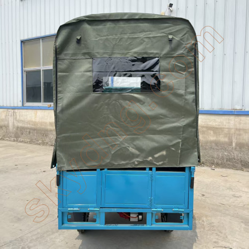 Passenger and Cargo Electric Tricycle