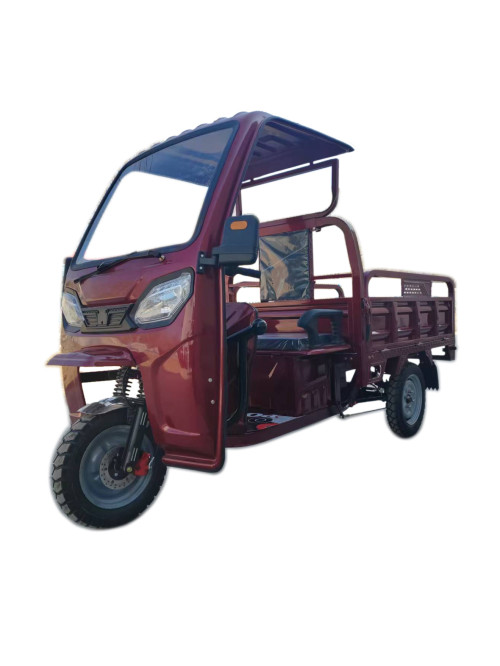 Electric Cargo Tricycle with canopy