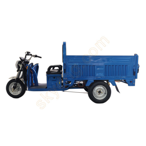 Electric cargo Tricycle with Dump Function