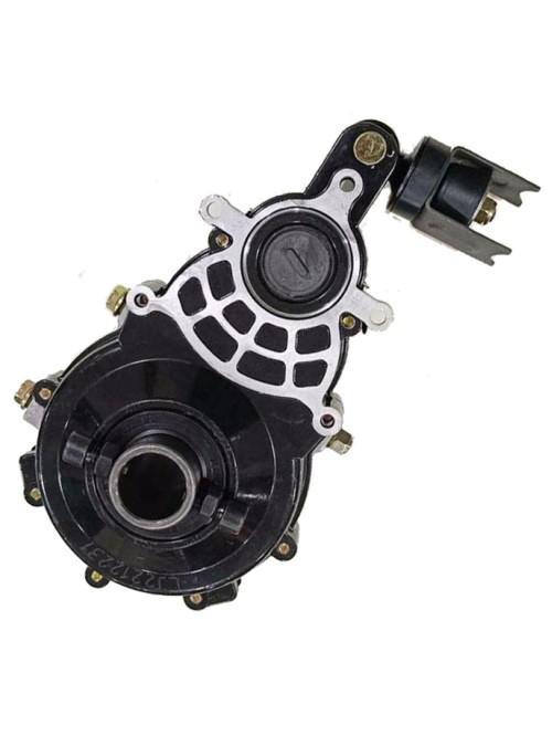 Paddle Rickshaw Gear Box