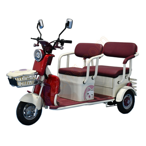 2 Passenger Electric Leisure Tricycle From China