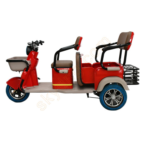 Leisure Electric 3 Wheel Passenger Tricycle 