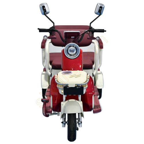 2 Passenger Electric Leisure Tricycle From China