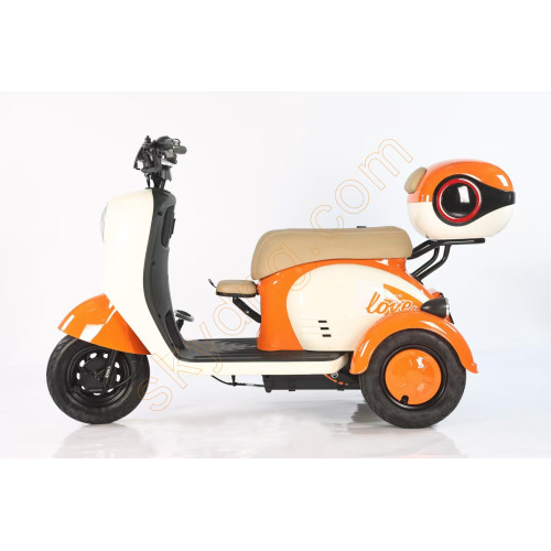 Leisure Electric Tricycle with Foldable Child Seat 