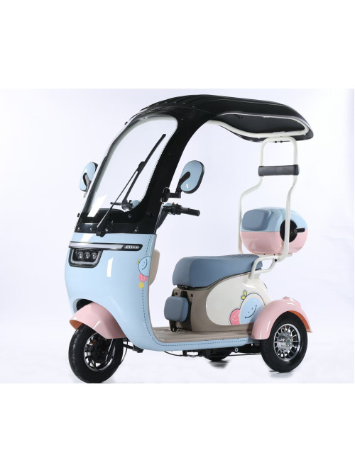 Electric Leisure Tricycle With Roof