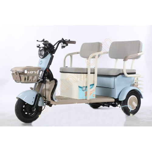 Electric Tricycle Open Leisure
