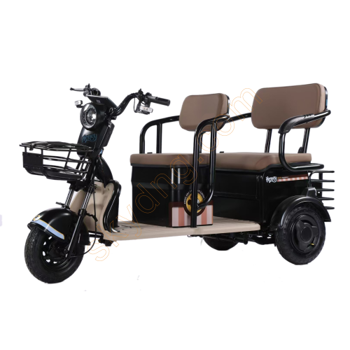 Electric Tricycle Open Leisure