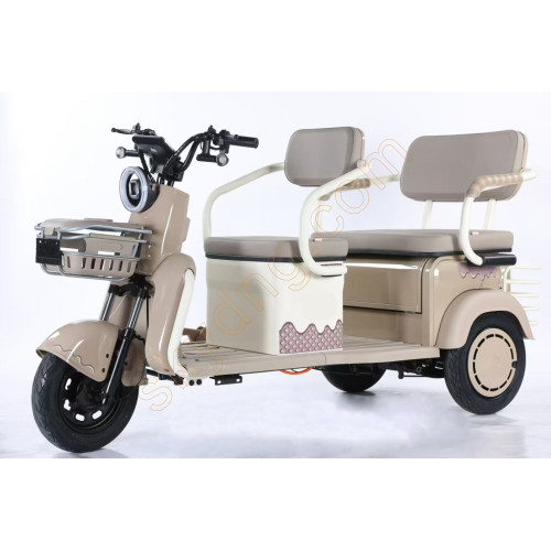 Leisure Electric Tricycle
