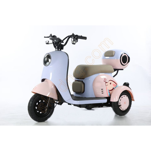 Leisure Electric Tricycle with Foldable Child Seat...