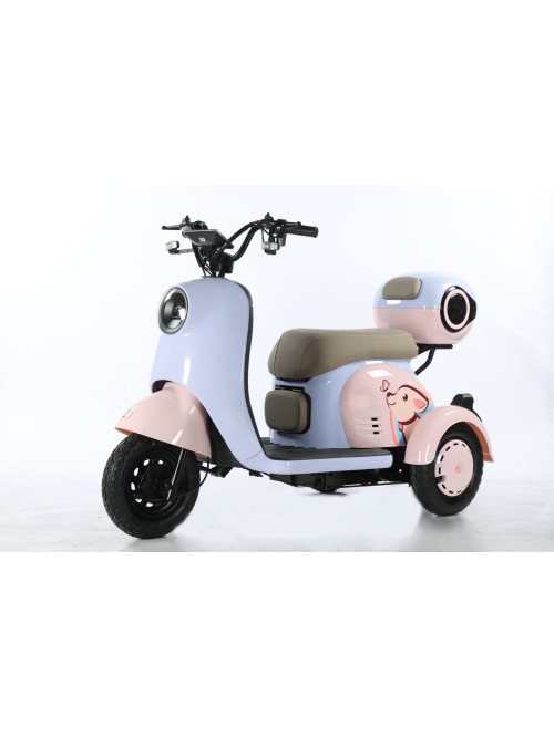 Leisure Electric Tricycle with Foldable Child Seat...