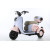 Leisure Electric Tricycle with Foldable Child Seat  Leisure Electric Tricycle with Foldable Child Seat