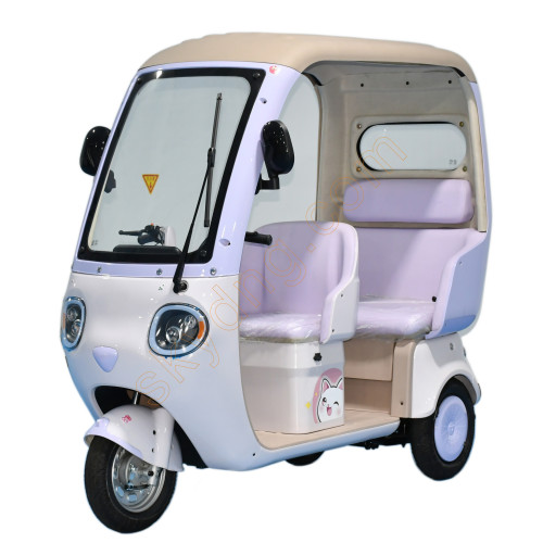  Leisure Electric Tricycle With Roof for Adult and Old Man