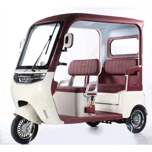 Leisure Electric Tricycle With Roof